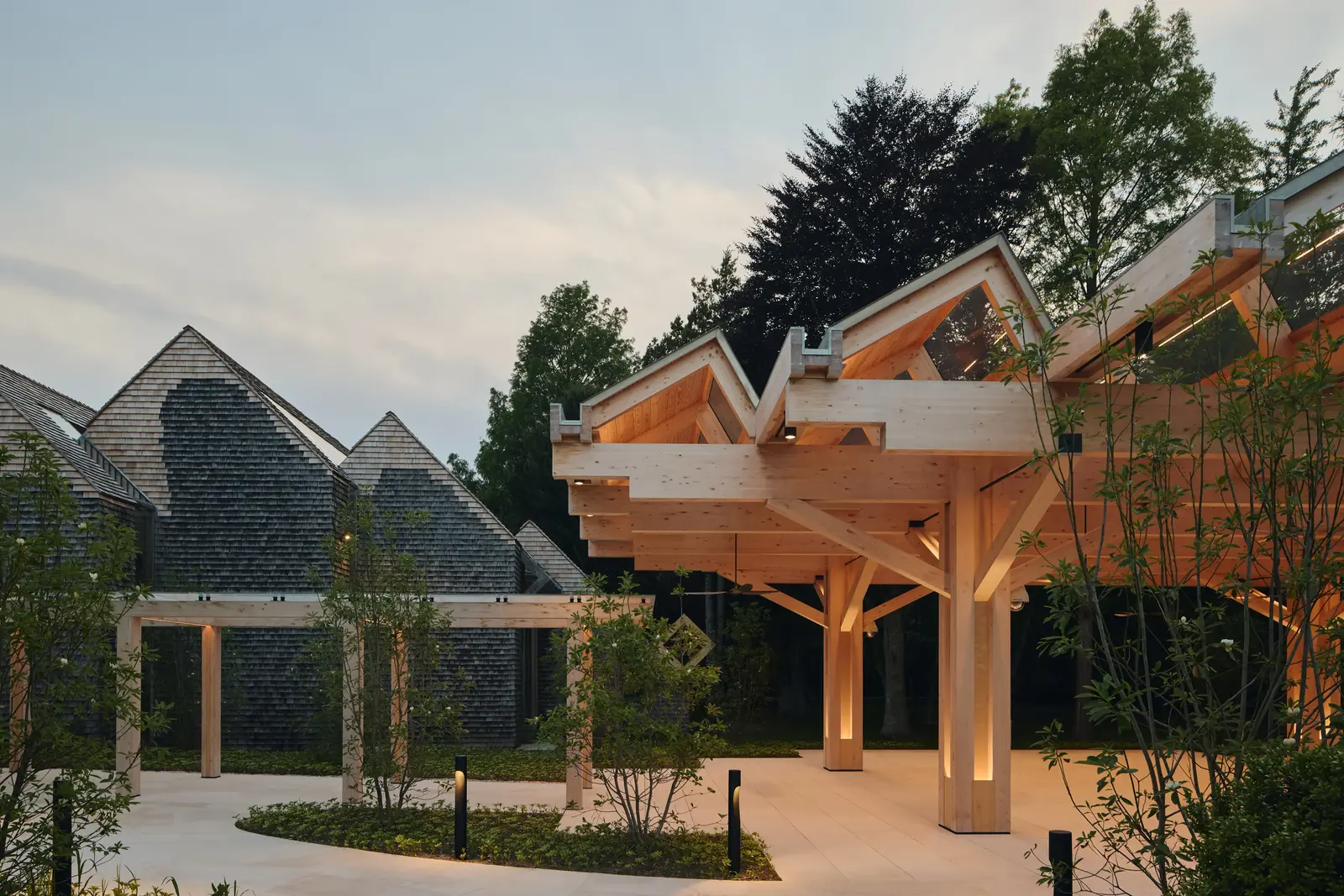 Illuminated timber pergola and landscaped courtyard with integrated architectural and pathway lighting at dusk.