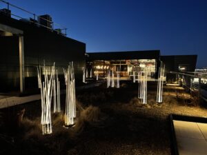 Wheelhouse rooftop garden with sculptural landscape lighting at night
