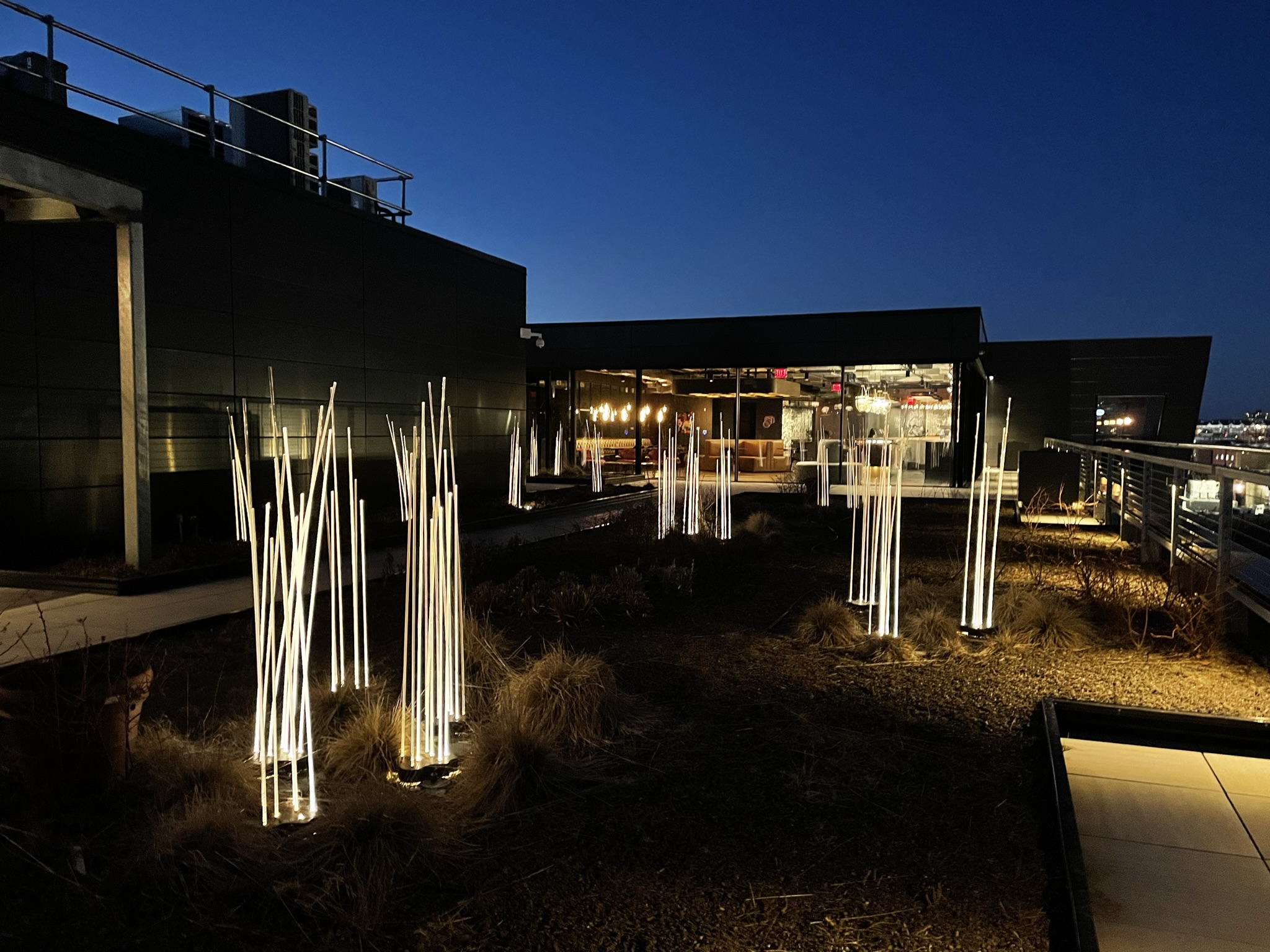 Wheelhouse rooftop garden with sculptural landscape lighting at night
